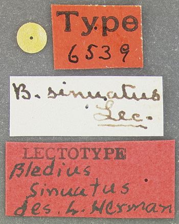 Media type: image;   Entomology 6539 Aspect: labels